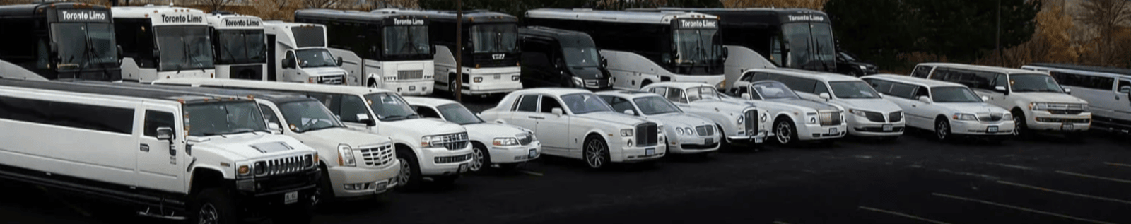 Toronto Limo